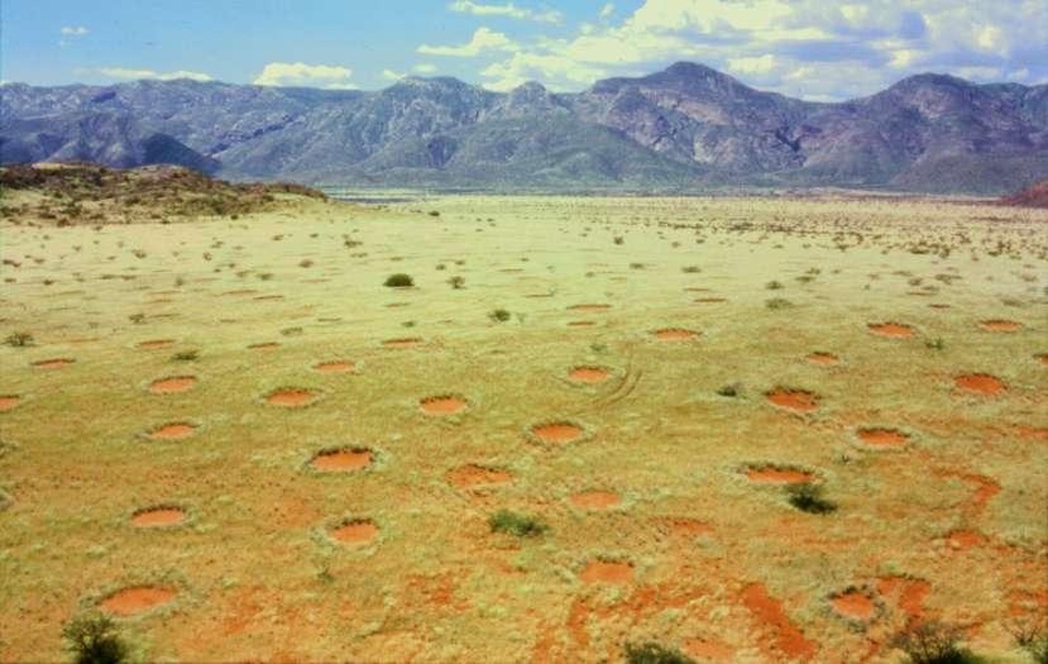 Bí ẩn “vòng tròn thần tiên” ở Namibia - 1 Bí ẩn “vòng tròn thần tiên” ở Namibia - 1
