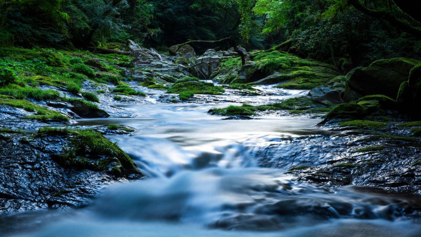 Hé lộ bí ẩn về dòng suối bốc mùi bia nồng nặc - 1 Hé lộ bí ẩn về dòng suối bốc mùi bia nồng nặc - 1