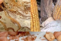 6 nhóm thực phẩm tế bào ung thư "cực thích", cần tránh xa càng sớm càng tốt