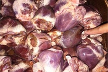 Ăn tim lợn mốc xanh, bồi bổ vi cá mập nhựa