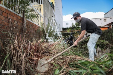 Nhiều Homestay ở Đà Lạt cỏ mọc um tùm, dây leo và rêu giăng kín