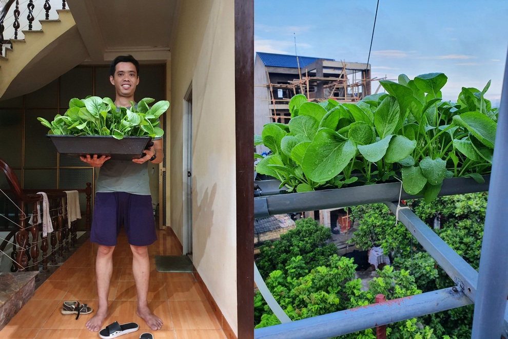 Thùng chứa dung dịch dinh dưỡng cho hệ thống thủy canh