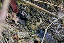 Phát hiện thi thể nghi là kẻ giết người tình rồi bỏ trốn