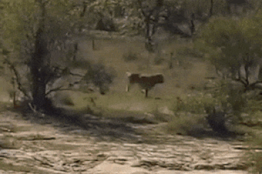 Clip “ngày đen đủi nhất và nụ cười của số phận”