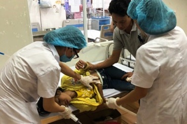 Cứu sống 3 bố con bị ngộ độc do ăn nấm lạ trong vườn nhà