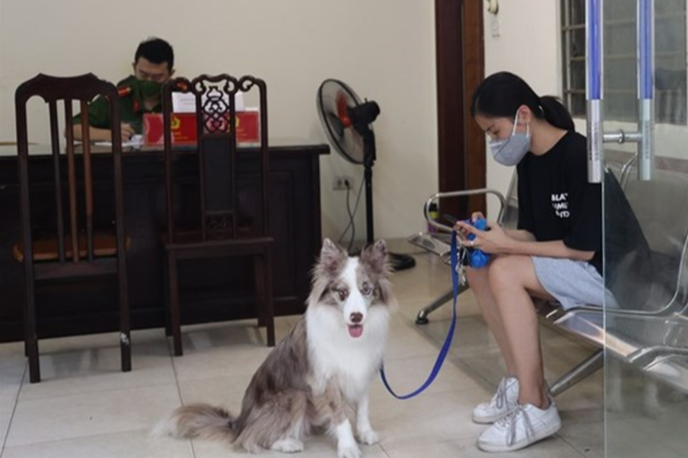 Lý do ra đường lãng xẹt của người bị phạt vì không tuân thủ giãn cách - 1 Lý do ra đường lãng xẹt của người bị phạt vì không tuân thủ giãn cách - 1