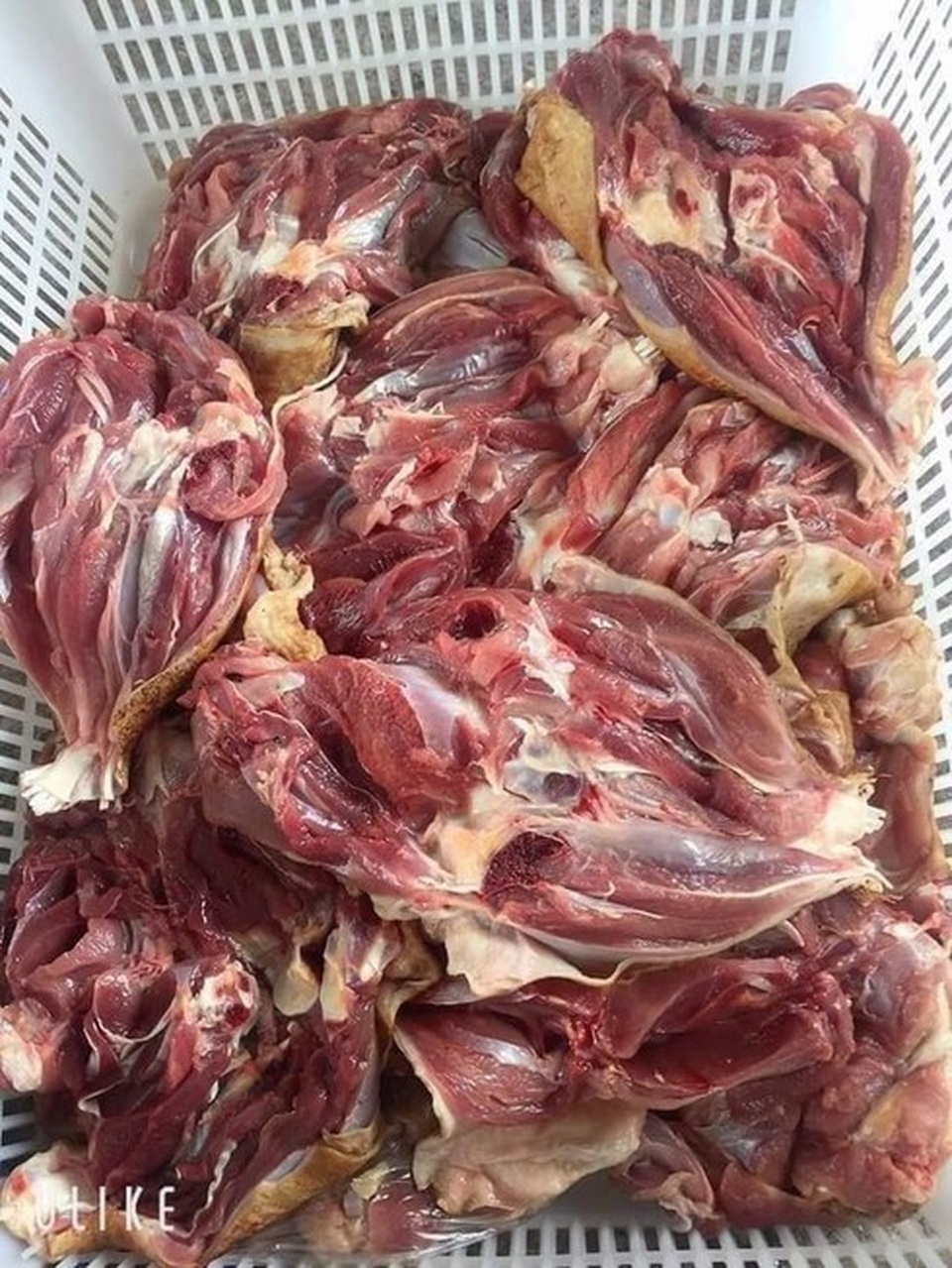 Sự thật rùng mình về đùi gà tây bán tràn ngập thị trường - 2 Sự thật rùng mình về đùi gà tây bán tràn ngập thị trường - 2