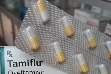 Cúm A gia tăng, nhiều người “săn lùng” thuốc cúm Tamiflu đẩy giá lên cao