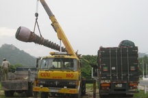 Thương lái lén lút mua cây thốt nốt bán sang Trung Quốc