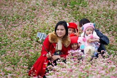 Ngắm đồi hoa tam giác mạch tuyệt đẹp ở Hà Giang