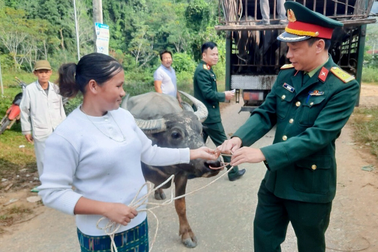Hỗ trợ 2 tỷ đồng giống vật nuôi cho hộ nghèo biên giới