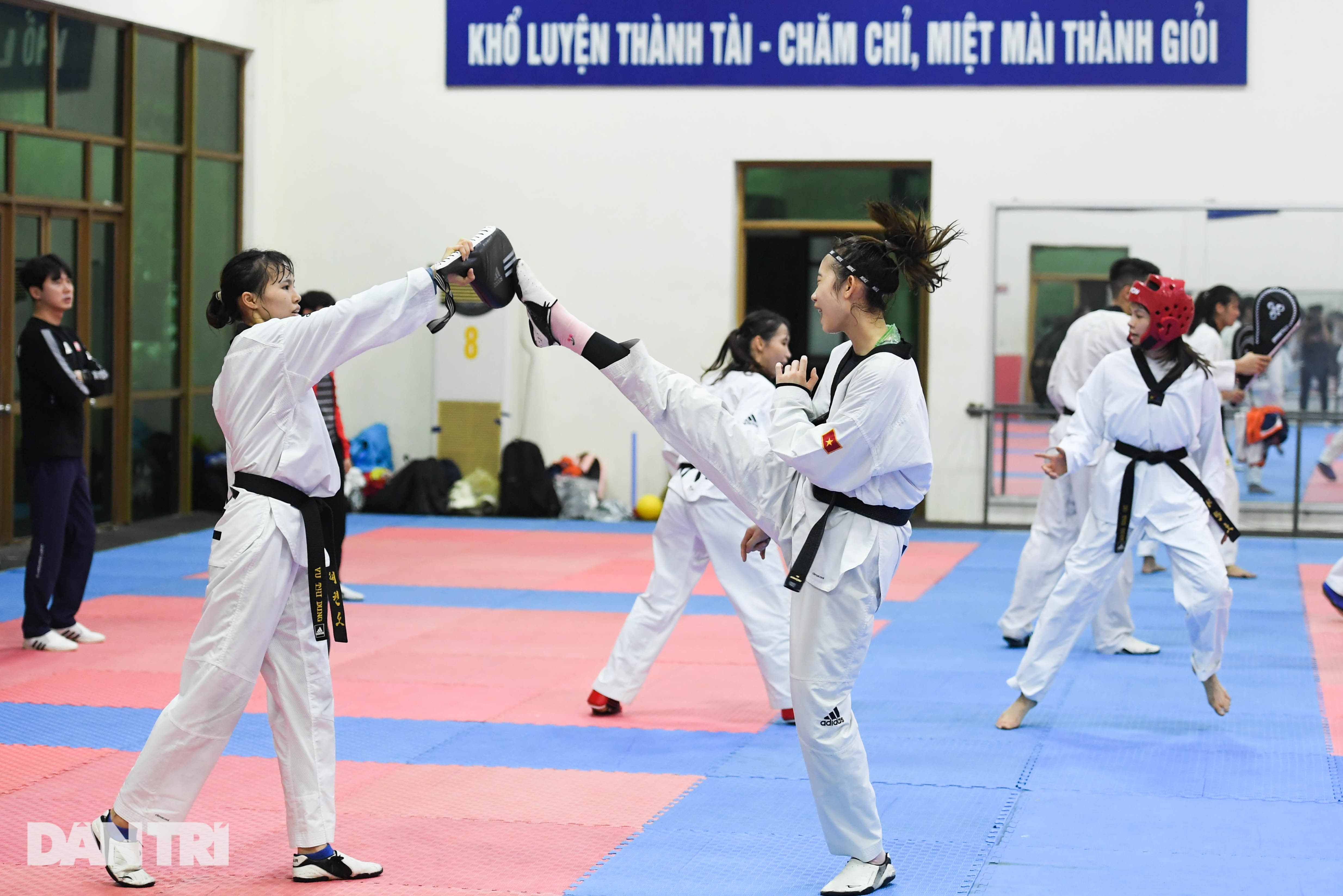 Taekwondo Việt Nam: Tấm gương thầy Park và mục tiêu tại Olympic - 14 Taekwondo Việt Nam: Tấm gương thầy Park và mục tiêu tại Olympic - 14