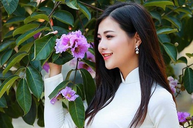 Thiếu nữ Hà thành đẹp dịu dàng bên hoa bằng lăng