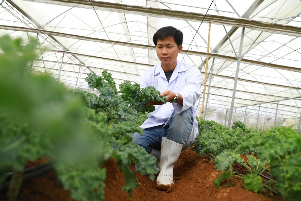 Gánh nợ 7 tỷ đồng vì lũ: 8X Thanh Hóa vực dậy, làm giàu nhờ nông sản - 1 Gánh nợ 7 tỷ đồng vì lũ: 8X Thanh Hóa vực dậy, làm giàu nhờ nông sản - 1