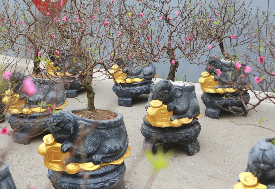 Độc đáo “chuột đá cõng đào bonsai” giá bạc triệu hút khách dịp tết - 2 Độc đáo “chuột đá cõng đào bonsai” giá bạc triệu hút khách dịp tết - 2