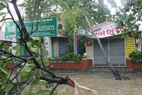 Quảng Nam: Hàng loạt nỗi lo sau bão số 6