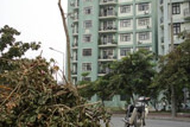 “Nham nhở” làng quốc tế Thăng Long