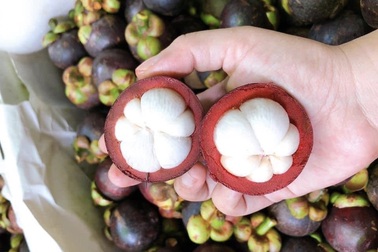 Hoa quả Thái tràn ngập, giá cao ngất ngưởng vẫn hút khách