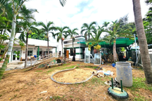 Trường quốc tế Chồi Xanh sẽ mở cửa lại vào ngày 11/9?