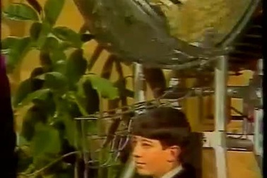 Lịch sử World Cup 1982: Người hùng “rũ bùn đứng dậy” Paolo Rossi