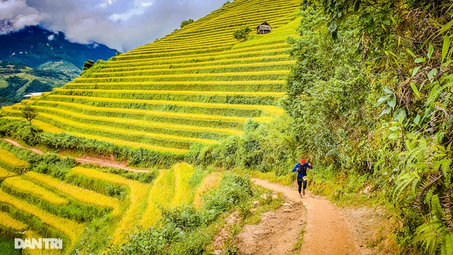 Chạy bộ khám phá vẻ đẹp rực rỡ của những bản làng Mù Cang Chải - 4 Chạy bộ khám phá vẻ đẹp rực rỡ của những bản làng Mù Cang Chải - 4