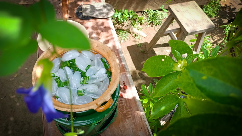 Dừa nước - đặc sản trứ danh Bến Tre do thiên nhiên ban tặng - 4 Dừa nước - đặc sản trứ danh Bến Tre do thiên nhiên ban tặng - 4