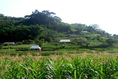 Khám phá bản “hồng hoang” ngủ quên trên độ cao 2000 mét