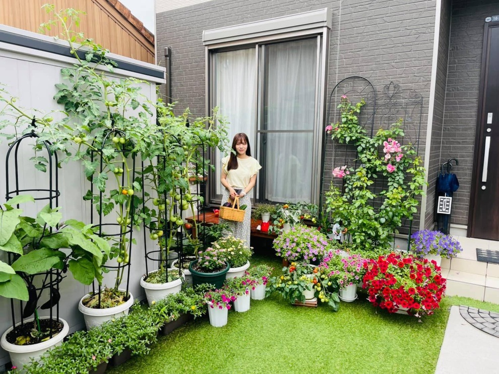 Mẹ Việt làm khu vườn đủ loại rau trái cho con ăn dặm ở Nhật Bản - 2 Mẹ Việt làm khu vườn đủ loại rau trái cho con ăn dặm ở Nhật Bản - 2