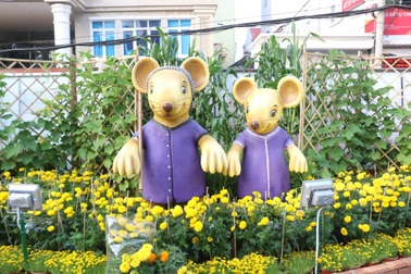 Đường hoa Cần Thơ trước giờ khai mạc