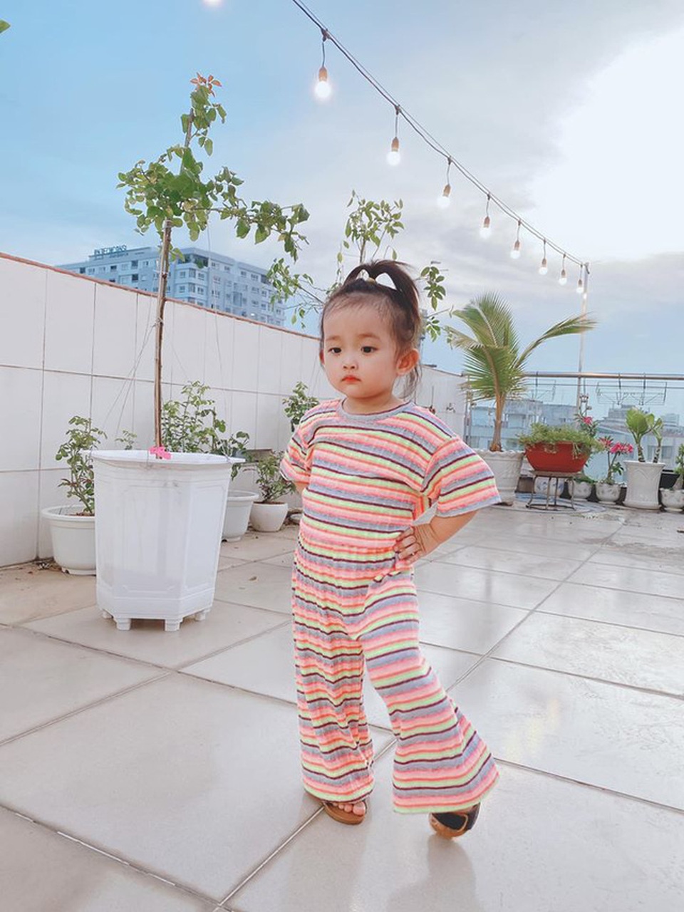 Ngắm khu vườn ngập hoa hồng trên ban công của Khánh Thi- Phan Hiển - 7 Ngắm khu vườn ngập hoa hồng trên ban công của Khánh Thi- Phan Hiển - 7