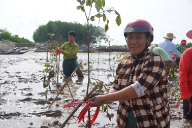 Việt Nam có thể bị thâm hụt 3,6 tỷ USD GDP vì biến đổi khí hậu