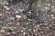 Phát hiện thi thể nữ giáo viên mất tích hơn 1 tháng trước