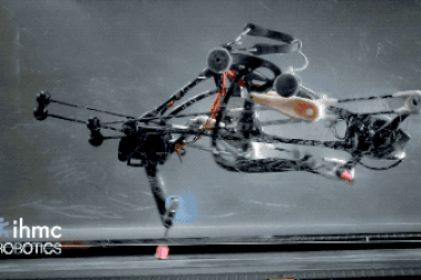 Mỹ chế tạo thành công rô-bốt “đà điểu” chạy bằng 2 chân