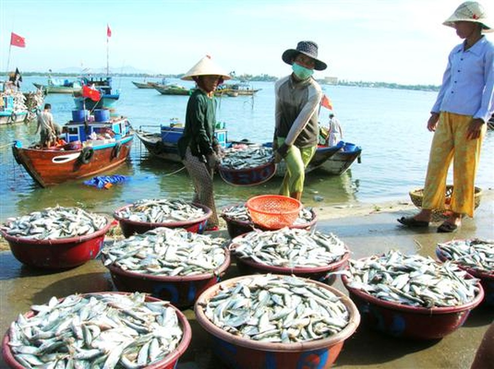 quy hoach nguon loi thuy san.jpg nguon loi thuy san.jpg