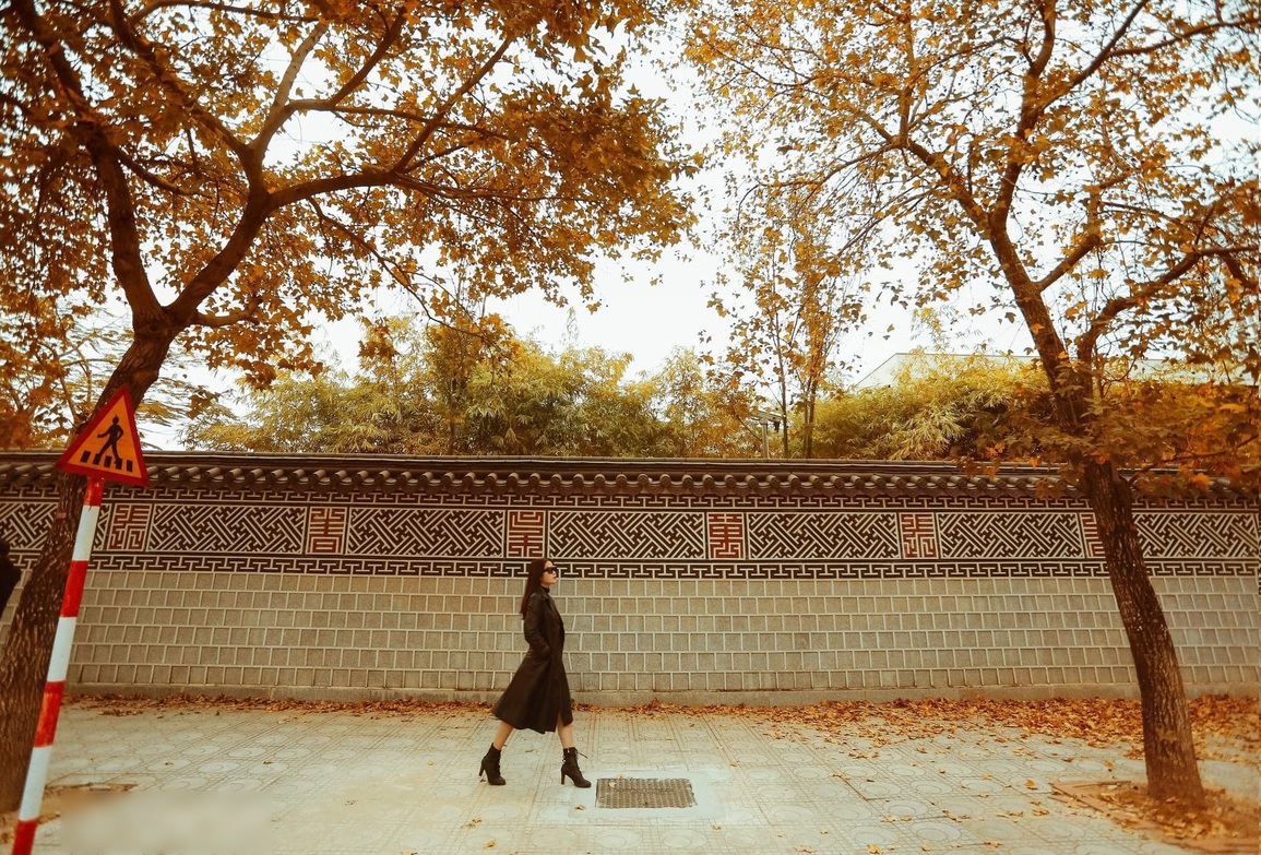 Con đường lá đỏ ở Hà Nội gây tranh cãi vì ảnh thực tế khác xa trên mạng - 6 Con đường lá đỏ ở Hà Nội gây tranh cãi vì ảnh thực tế khác xa trên mạng - 6