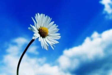 Lưu ý cho người mắc bệnh mãn tính