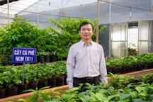 Những người đứng sau các giống cây cà phê Robusta hàng đầu thế giới ở Đăk Lăk