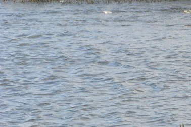 3 chị em chết đuối khi tắm sông