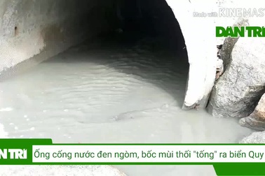 Bình Định: Ông nước đen ngòm, bốc mùi thối “tống” thẳng ra biển Quy Nhơn