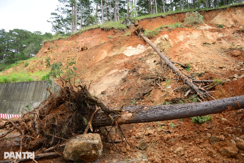 Đèo Prenn ở Đà Lạt thông xe 3 ngày cuối tuần theo khung giờ cố định - 2 Đèo Prenn ở Đà Lạt thông xe 3 ngày cuối tuần theo khung giờ cố định - 2