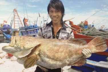 Kinh tế biển sẽ đóng góp 53 - 55% GDP