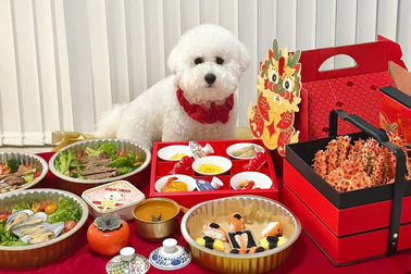 Vì sao vào dịp Tết, thú cưng ở Trung Quốc lại "sướng như vua"?