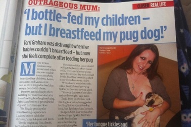 Sốc với người phụ nữ cho chó bú trong hai năm