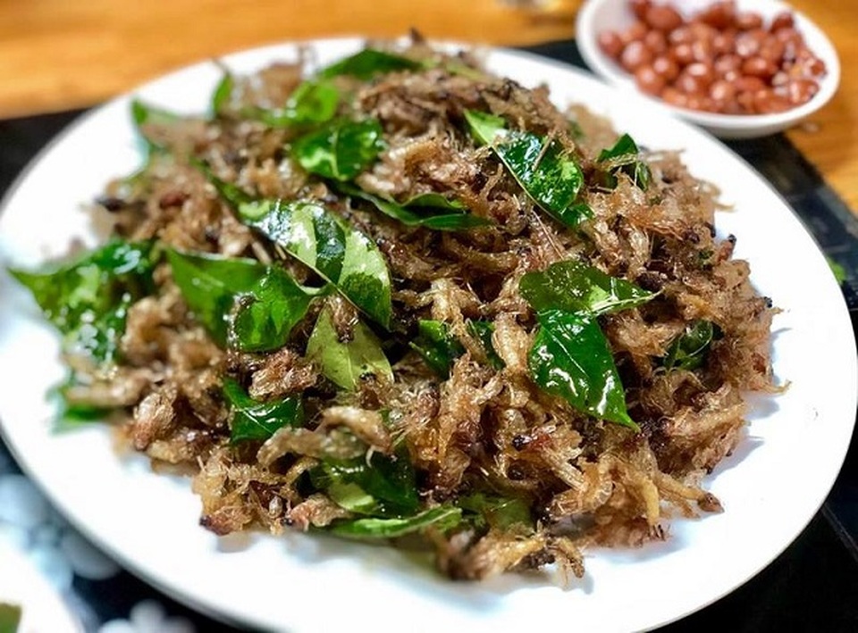 Kỳ lạ loài côn trùng “vật vờ” ngoài sông Hồng được bán với giá hàng triệu đồng/kg - 4 Kỳ lạ loài côn trùng “vật vờ” ngoài sông Hồng được bán với giá hàng triệu đồng/kg - 4