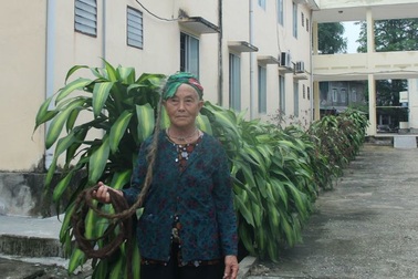 Bí quyết giữ mái tóc dài gần 4m của cụ bà 94 tuổi