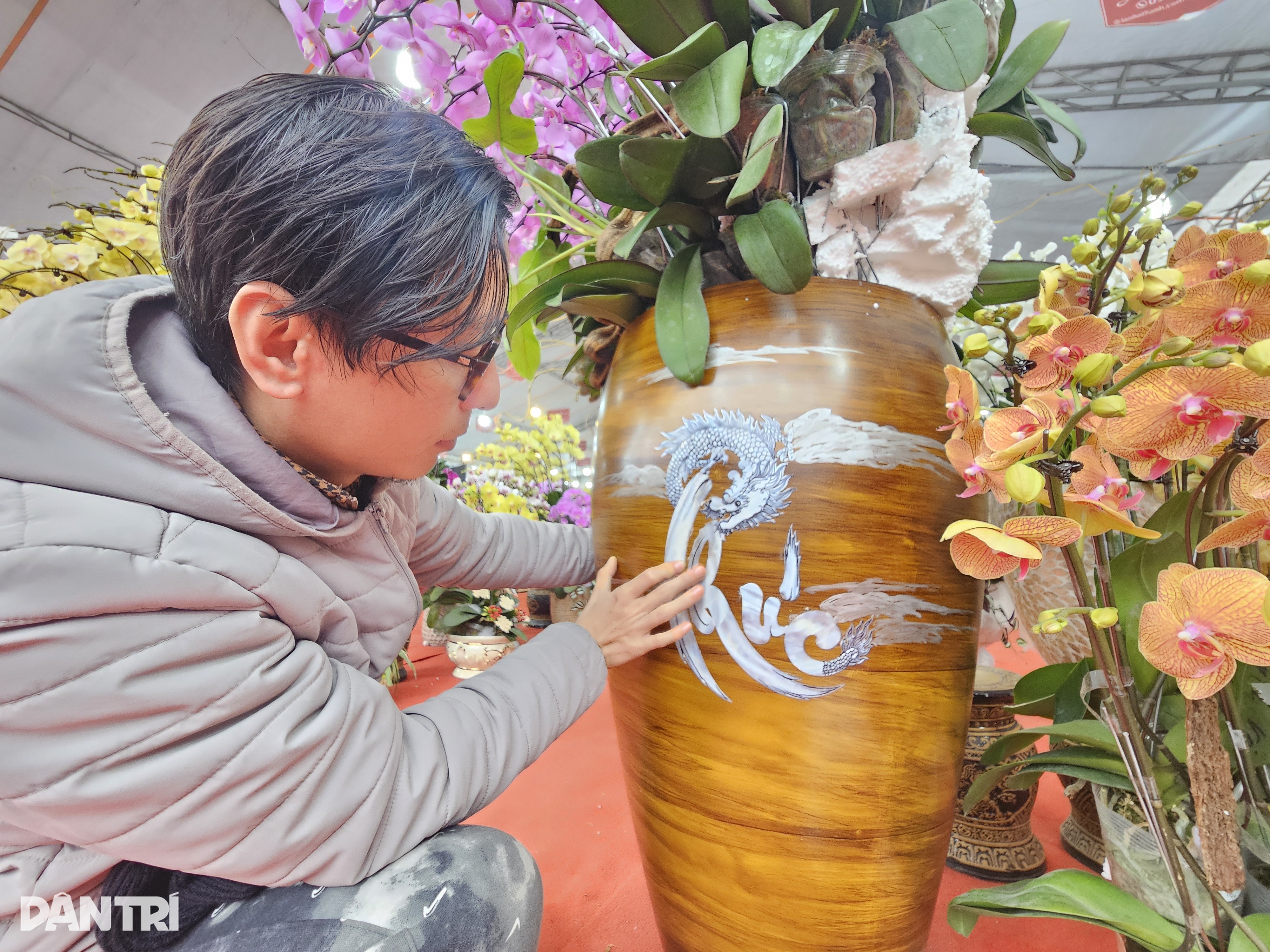 मोती के आकार के ड्रैगन के आकार के गमले में उगाया गया अनोखा फेलेनोप्सिस ऑर्किड - 7 Độc đáo lan hồ điệp trồng trong chậu khảm trai hình rồng - 7