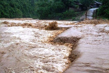 Kiên quyết không cho tàu thuyền ra biển hoạt động