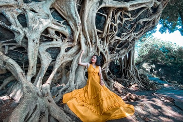 Cây si cổ thụ có bộ rễ "khủng" hút du khách tới chụp ảnh ở Đắk Lắk