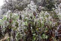 Lạnh sâu toàn miền Bắc, Quảng Ninh, Yên Bái cũng có băng giá