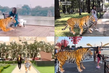 5 chốn lên hình cực chuẩn cho cơn sốt “dẫn hổ” khoe bản lĩnh